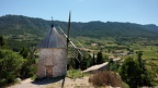 Cucugnan, le moulin, l'environnement (11) 
