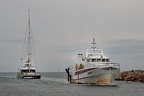 Le Grau du Roi, retour de bateaux (30)