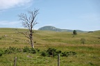 Randonnée dans le sud du Sancy (63)