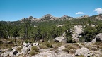 Porto-Vecchio, forêt de l'Ospedale (2A)