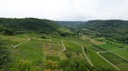 Château-Chalon, Belvédère de la Rochette, vue sur le vignoble (39)