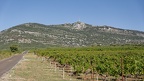 Montpeyroux, le Mont Saint-Baudille  (34)