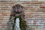 Gaillac, fontaine dans le parc de Foucaud (81)