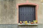 Castelnau-de-Montmiral, portes et portails (81)